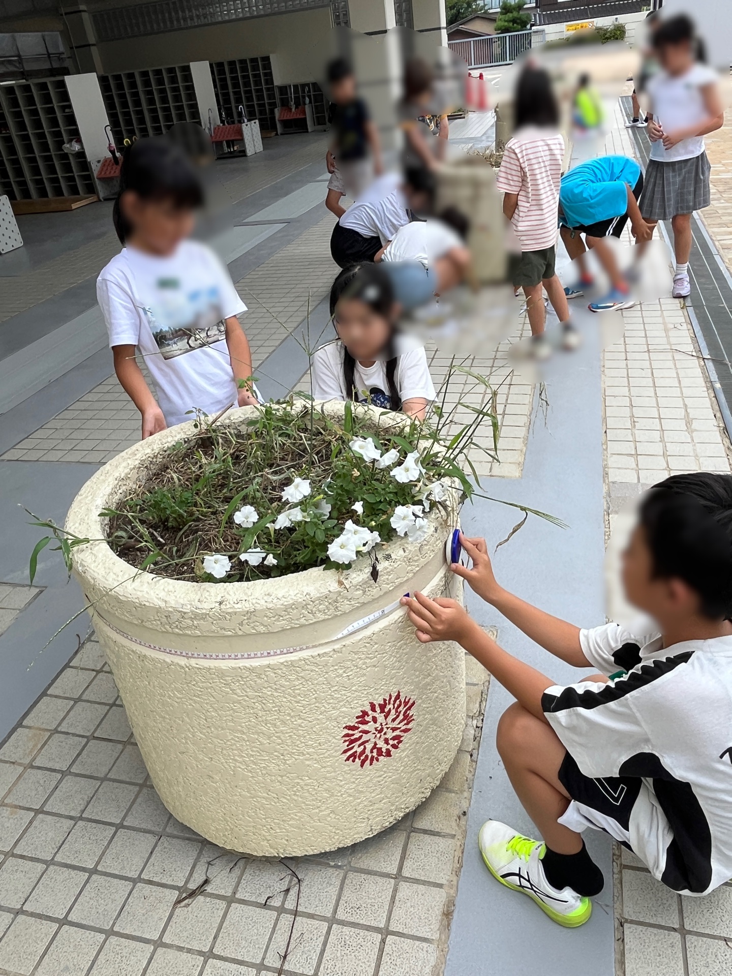 がんばれ、3年生