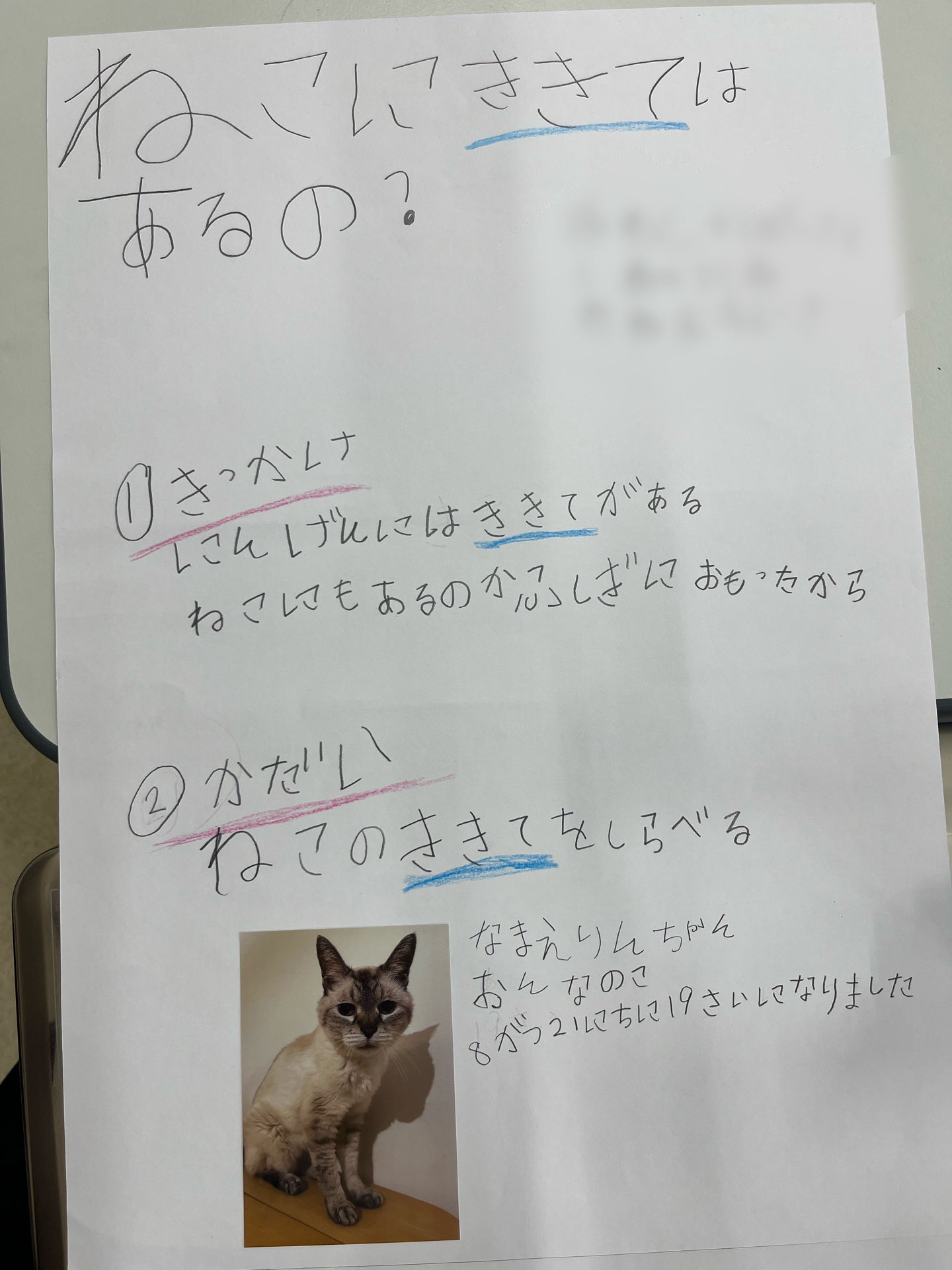 猫に利き手はあるの
