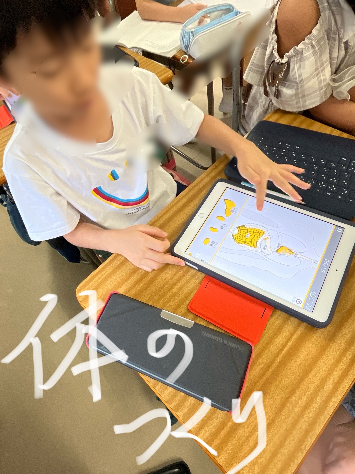 からだのつくりも、ばっちり、覚えてる