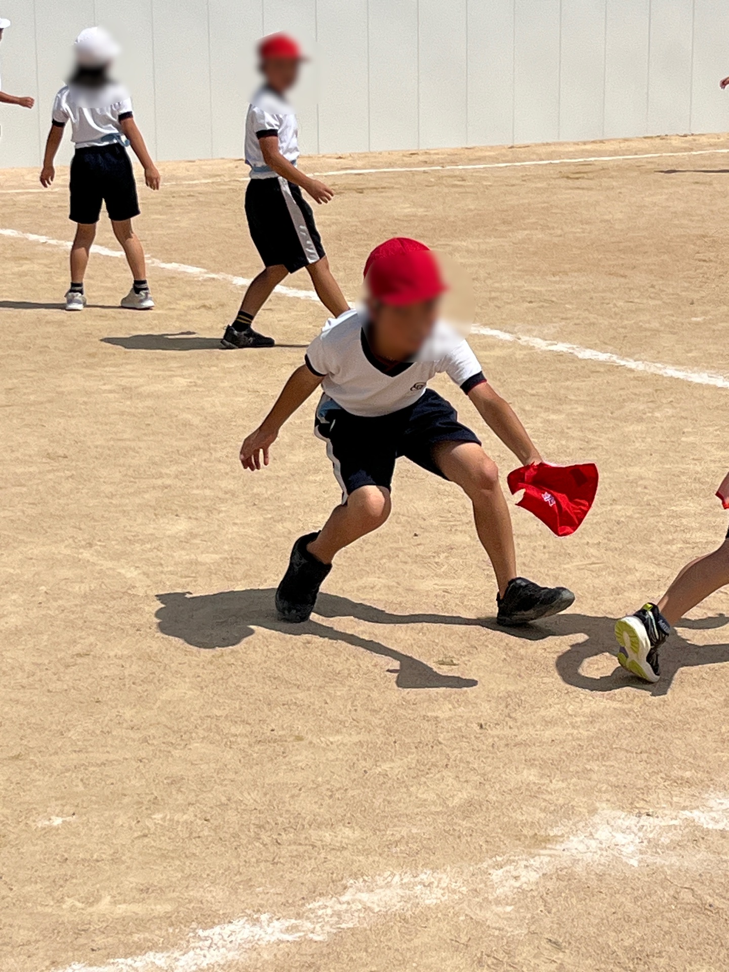 ずばり、しっぽをとって、きらり