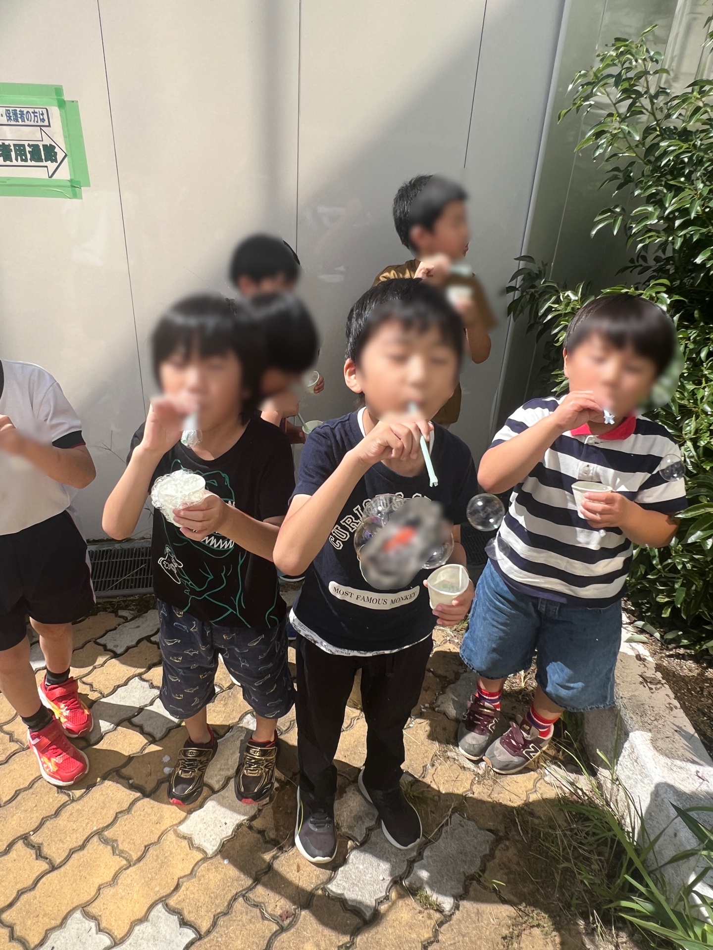 せいので、ぴー