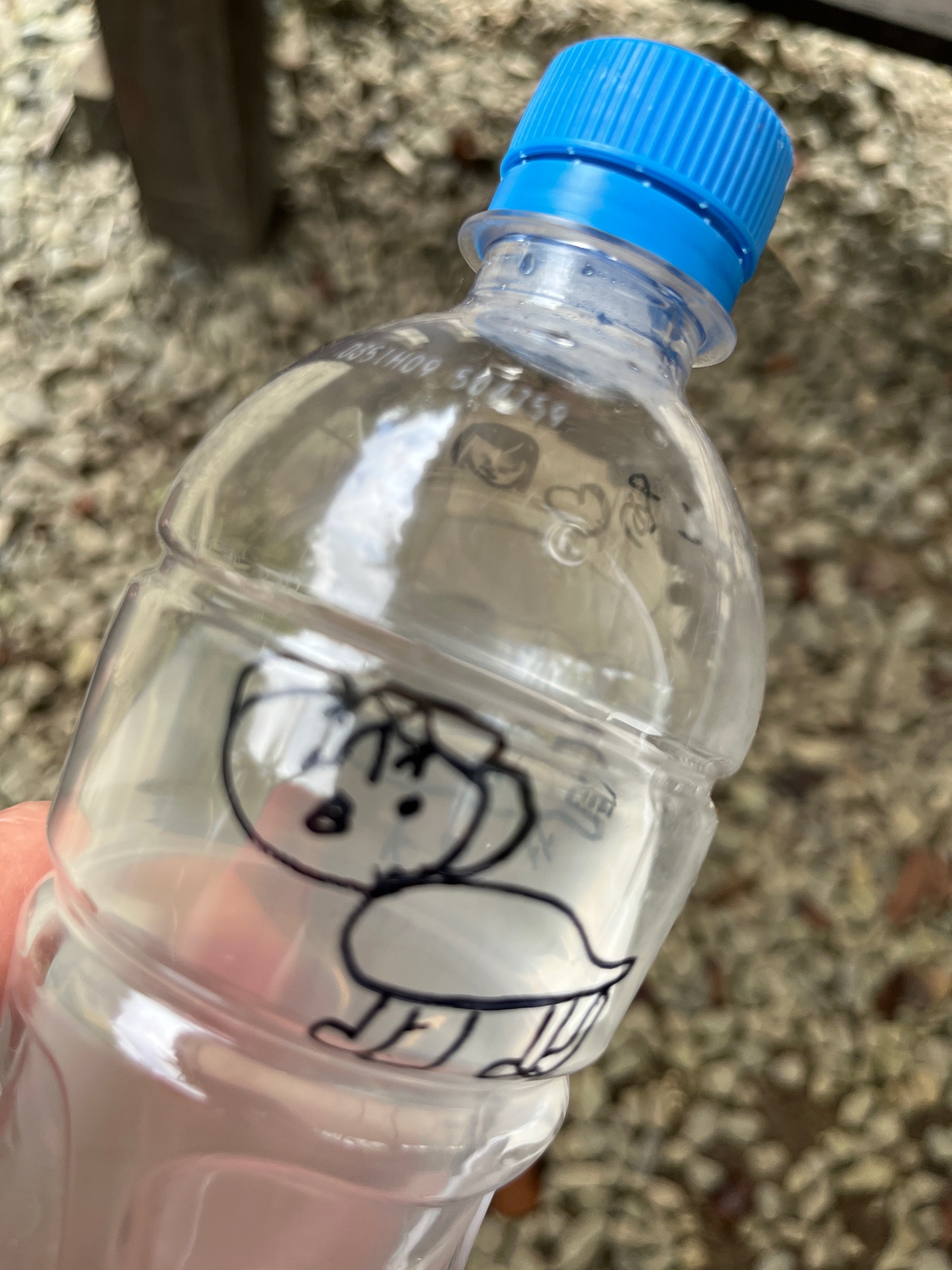 かわいいペットボトルみっけ