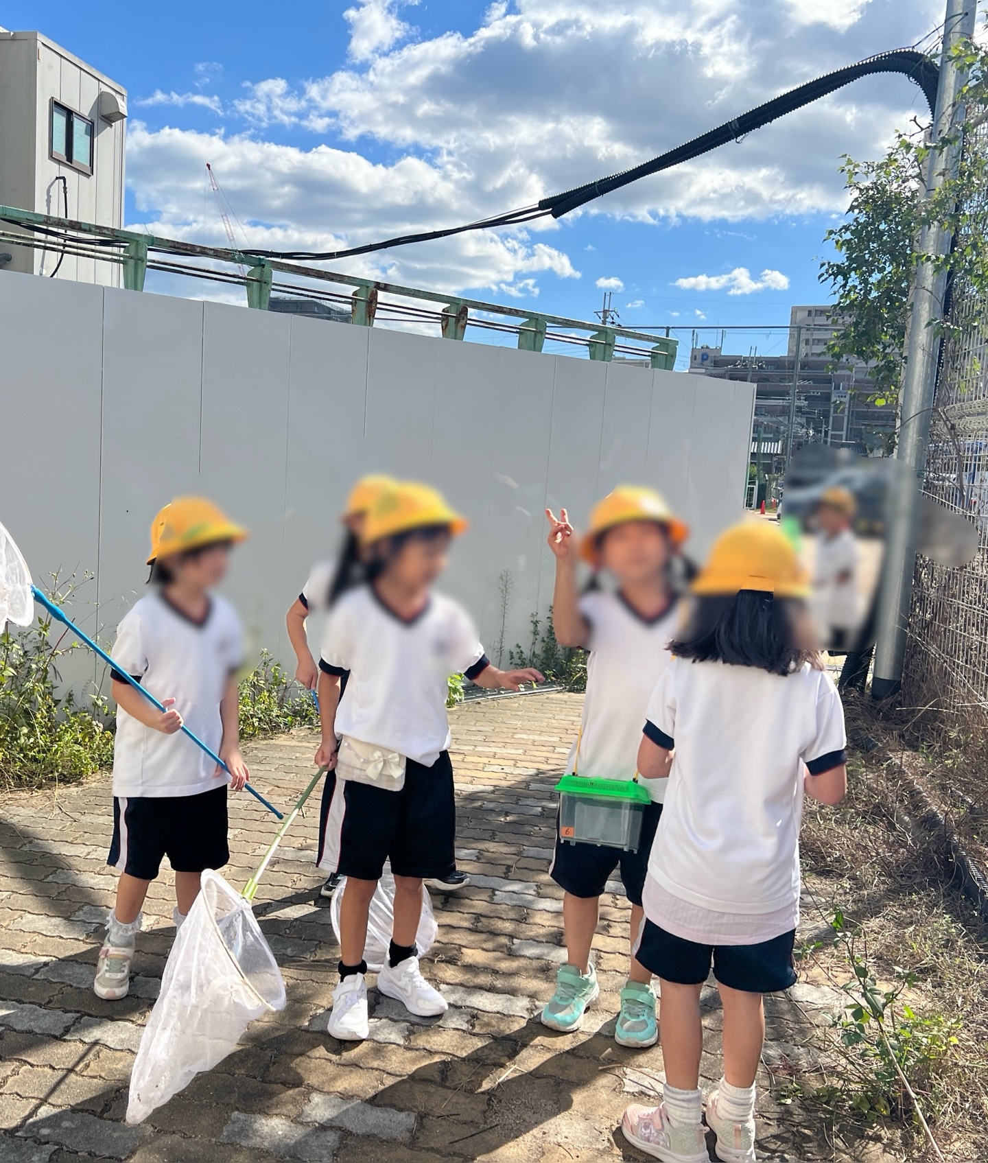 みせあいっこ