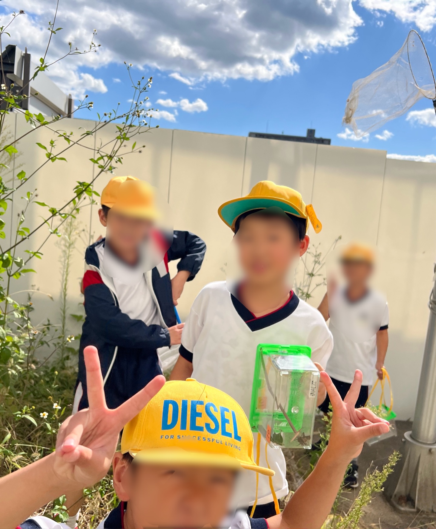 えいえいえおー