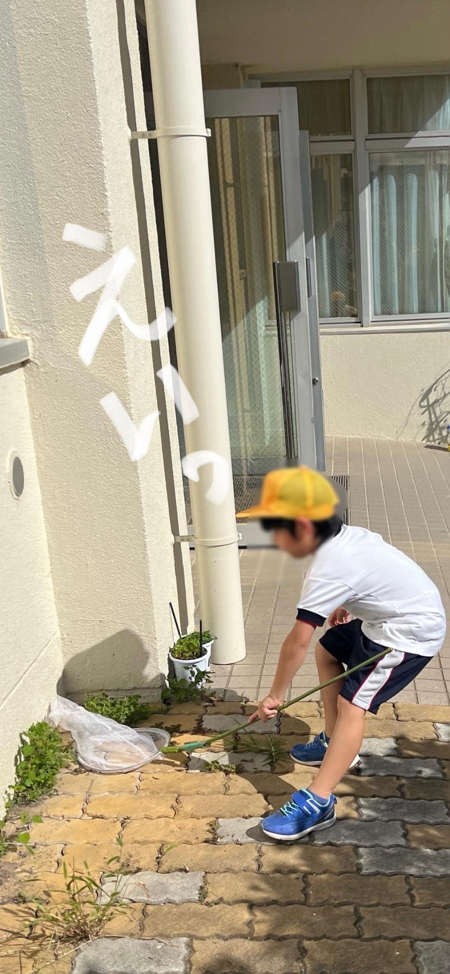 瞬間を見逃さない
