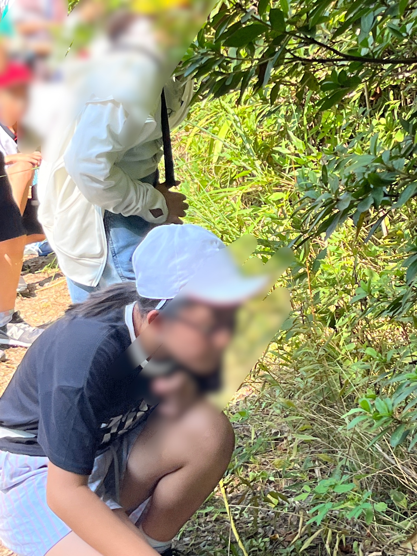 自然の中に人工物がないかどうか