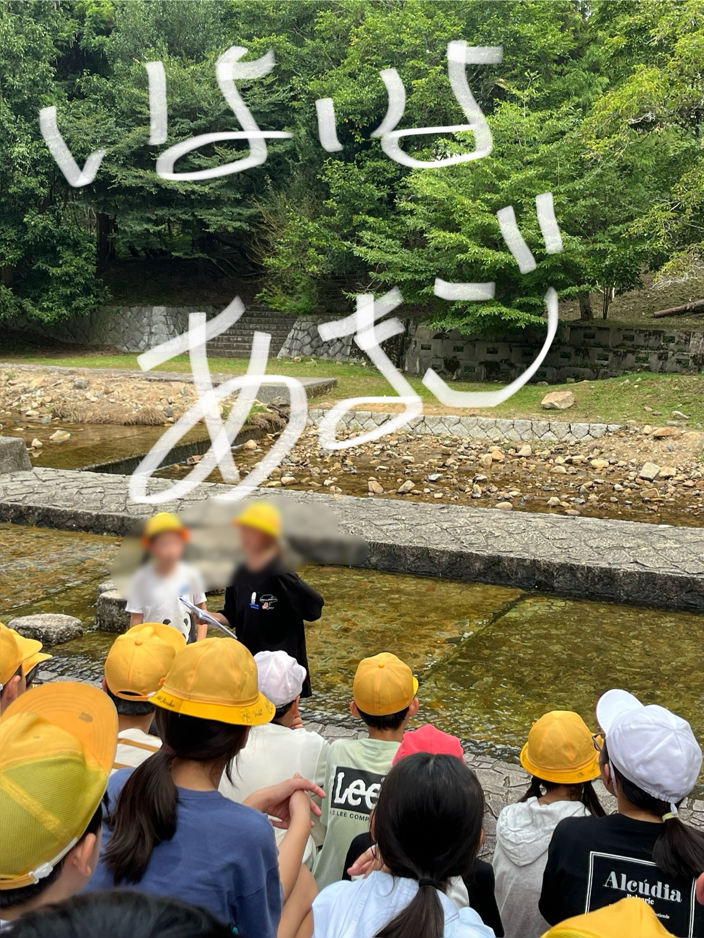 いよいよあまごつかみ