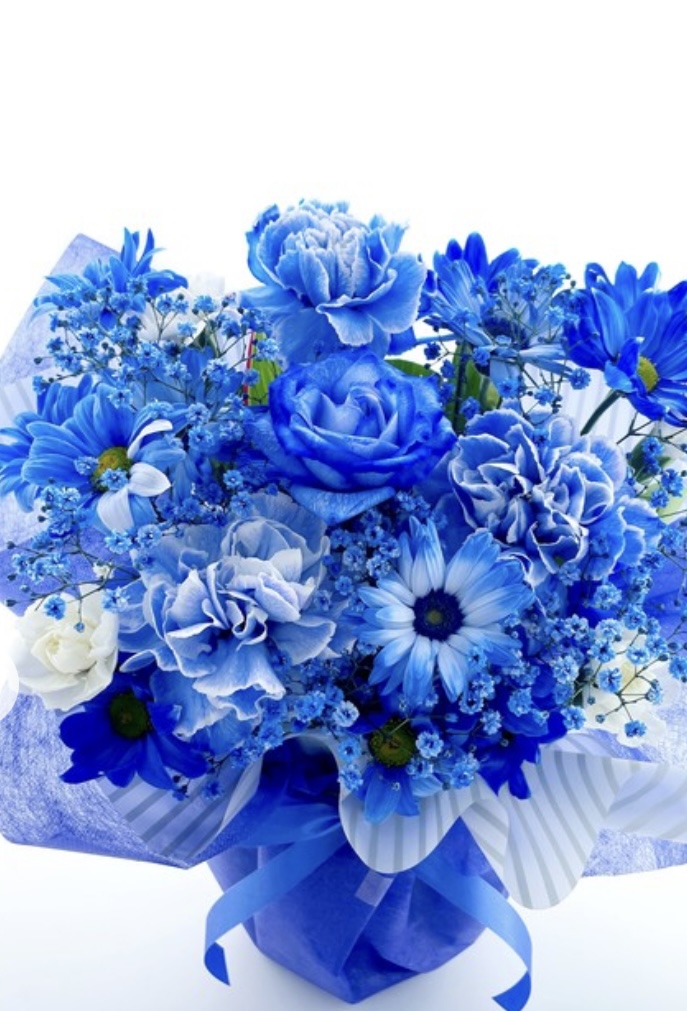 青いガーベラは、ハッピーブルー