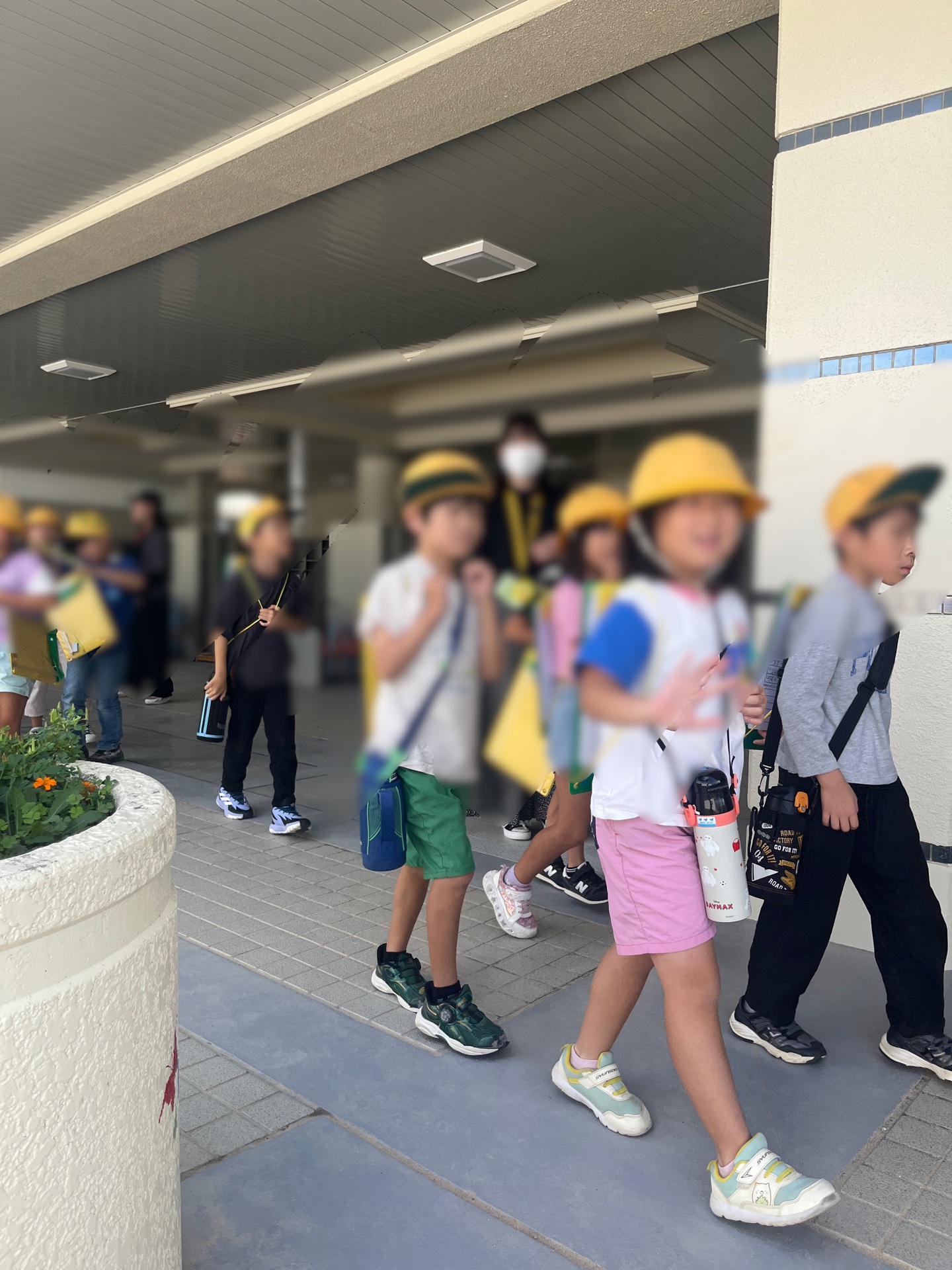 発見を教えてね