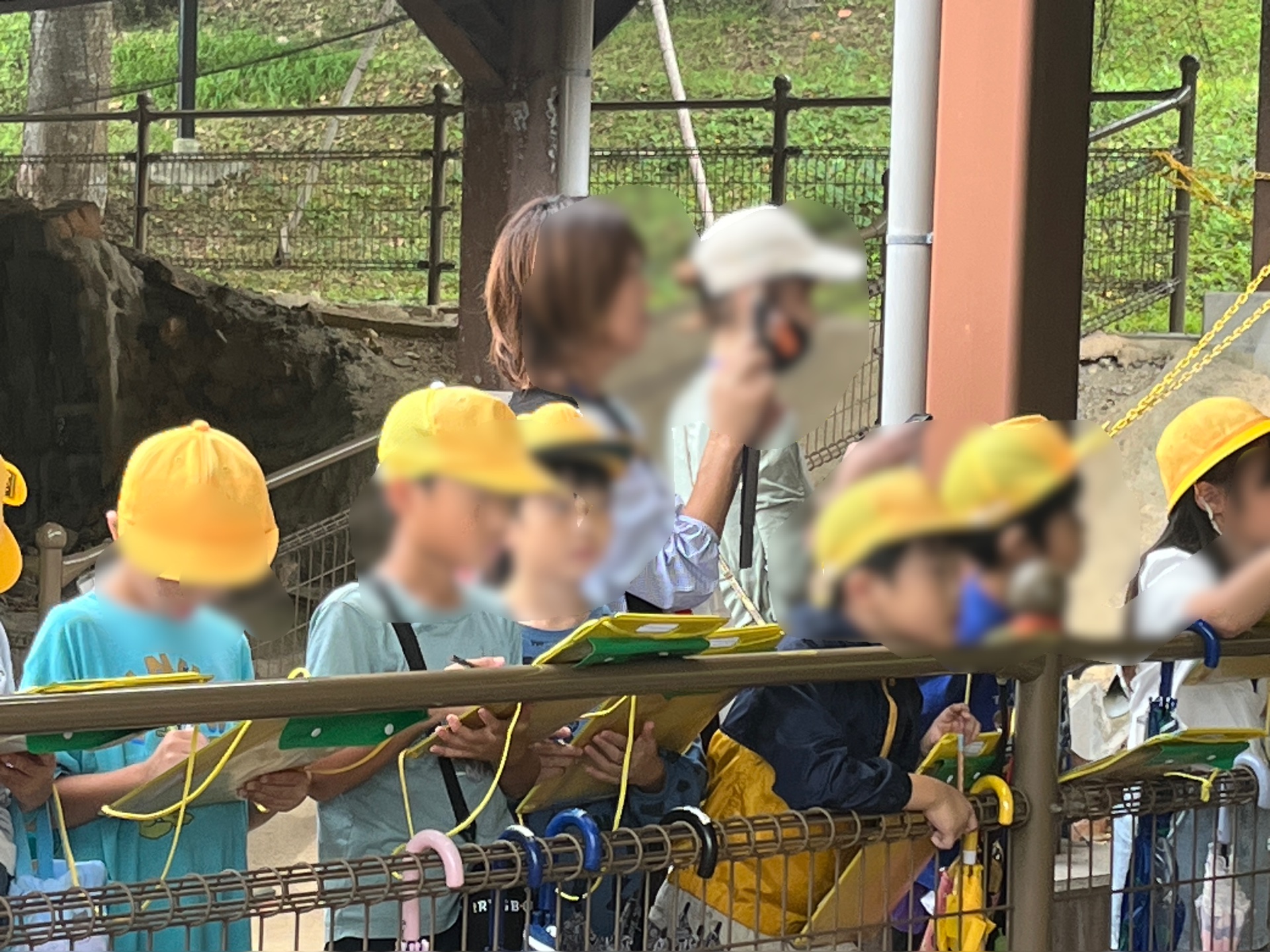 大きさを覗き込んでいます