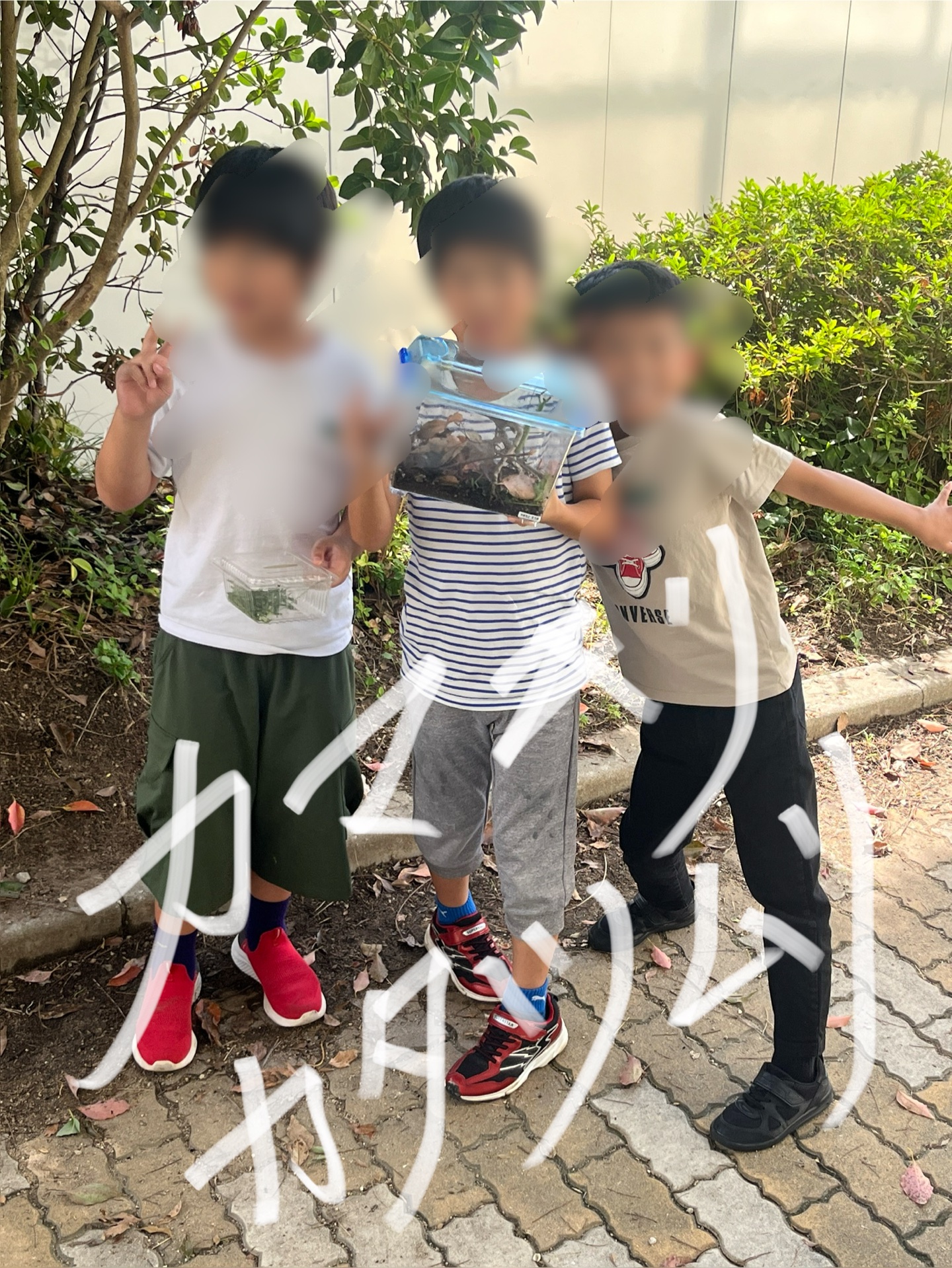 校長室前は、いい虫場