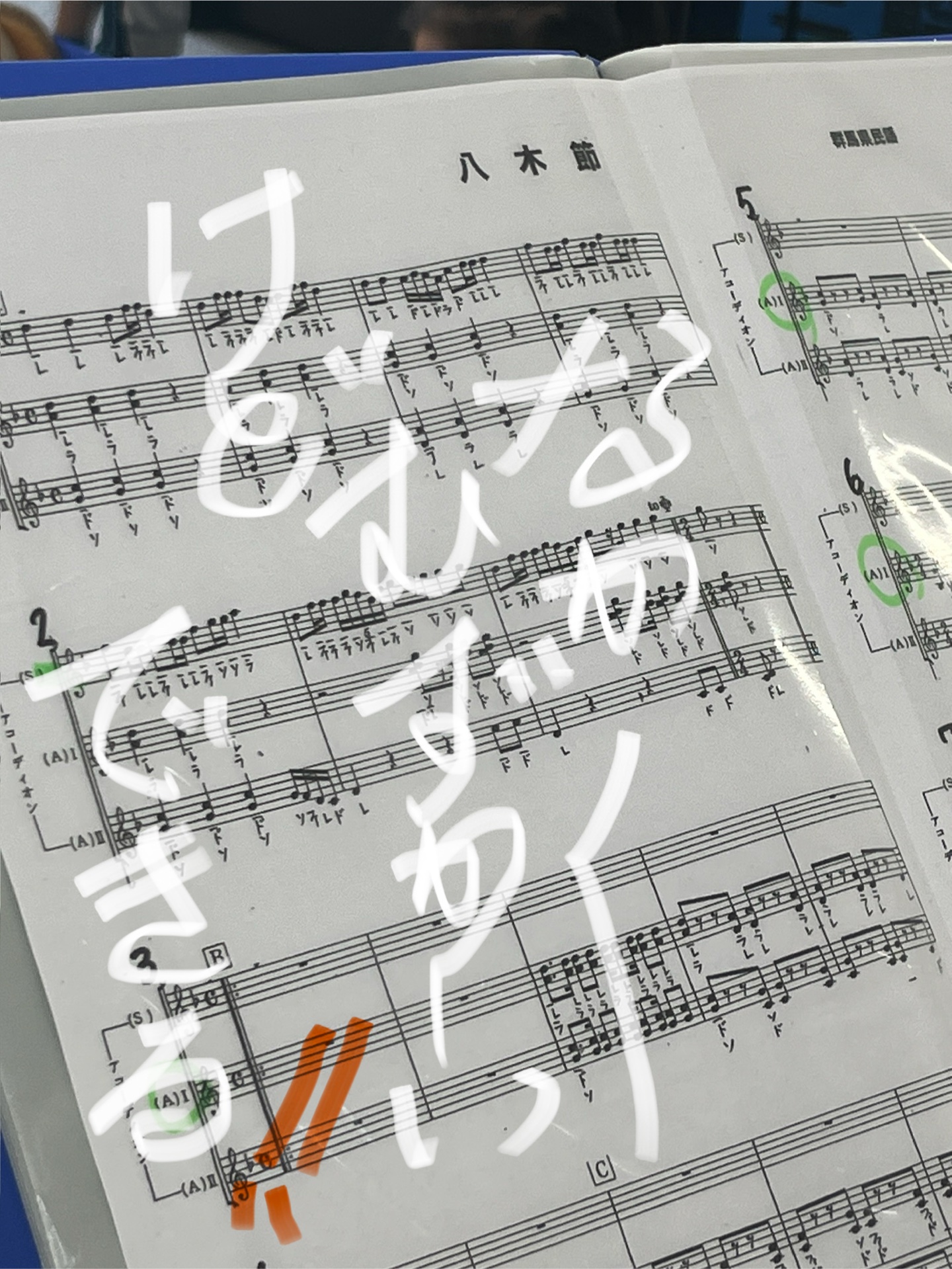 八木節だいすき