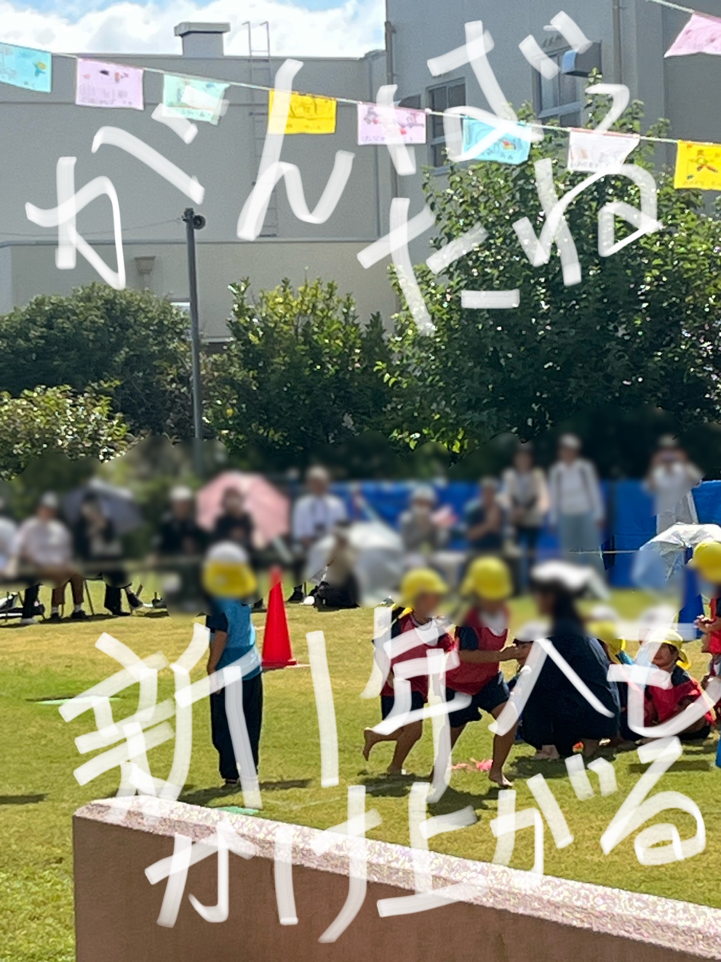 いい走りでした