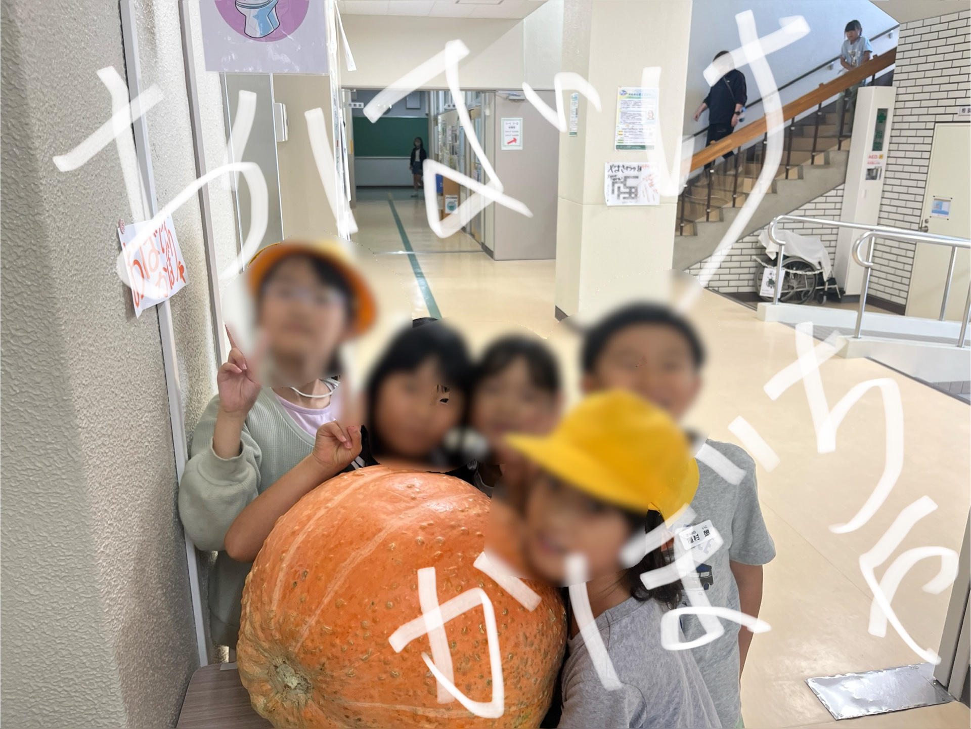 おばけかぼちゃ