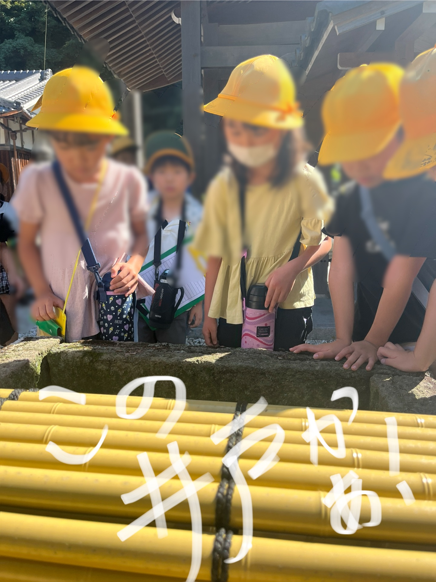 あの井戸ものぞかせてもらいました