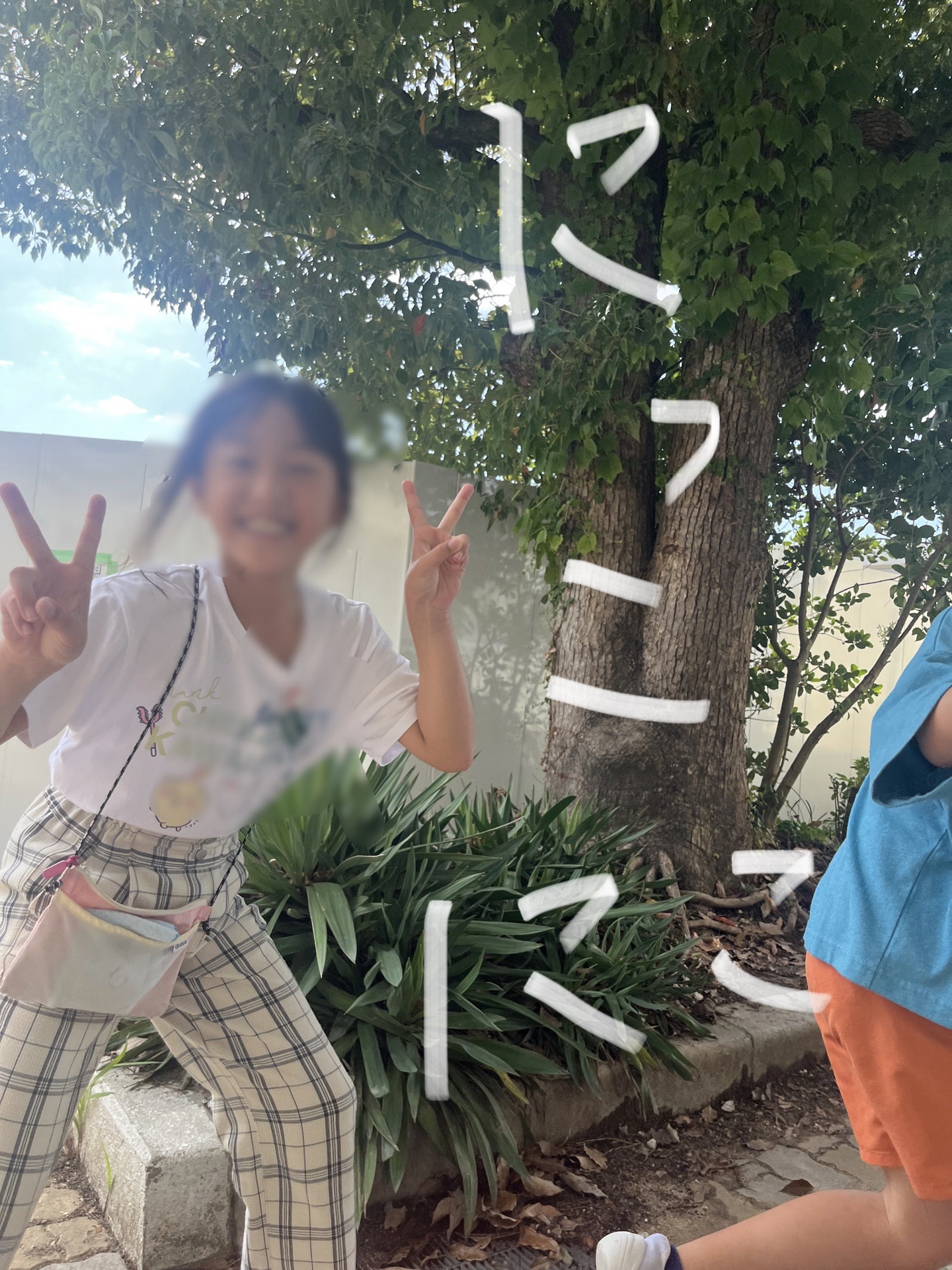 とっても素敵でしょう