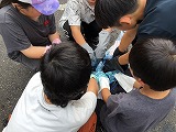 藍染め