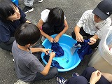 藍染め