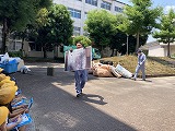 202506306