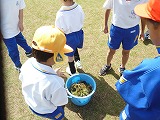 草抜き
